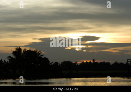 Tramonto sul lago KUTTANAD Foto Stock