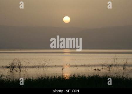 Tramonto sul mare di Galilea Israele Foto Stock