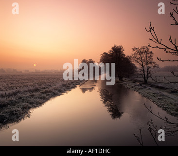 Dawn, fiume Wey Navigazione, inviare, Surrey, England, Regno Unito Foto Stock