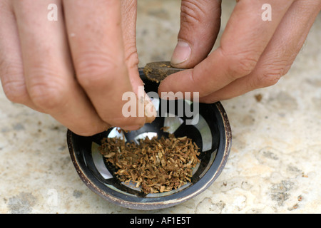 Hippy di preparare il rotolamento e fumare marijuana comune serie di foto Foto Stock