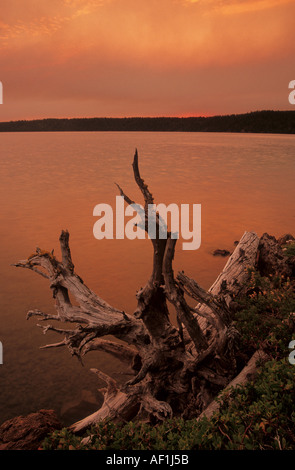 Fumo di un fuoco di foresta crea uno strano tramonto sul Lago di Paulina in Newberry Monumento Nazionale ,Oregon, Stati Uniti d'America Foto Stock