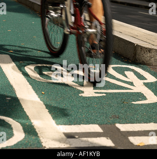 Ciclista sulla pista ciclabile 05 Foto Stock