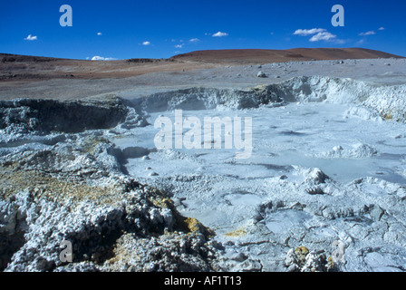 Il gorgogliamento fango bianco dal mondo del più alto campo di geyser vicino al confine tra la Bolivia e il Cile Foto Stock