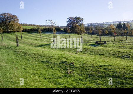 Campo medievale di ridge e il solco di Cotswolds in legno Stanway, Gloucestershire Foto Stock