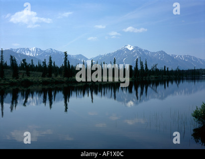 Alberi di pino linea un fiume vetroso nel deserto dell'Alaska Foto Stock