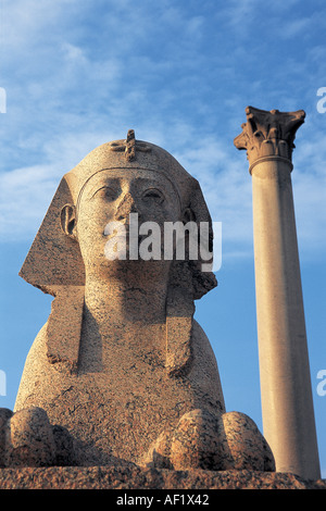 Alessandria sphinx nel Serapeo Foto Stock