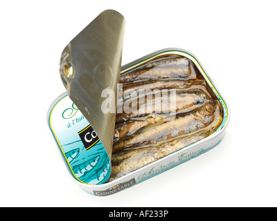 Conserve di acciughe Foto Stock