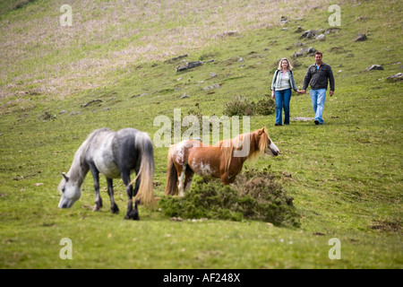 I camminatori e Welsh pony di montagna nella valle di Ewyas Parco Nazionale di Brecon Beacons Powys Galles Foto Stock