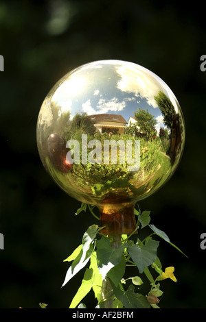 Sfera di rose con immagine speculare Foto Stock
