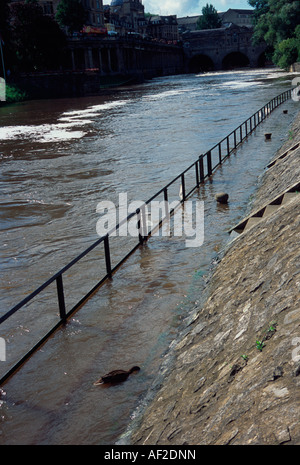 Il fiume Avon burst le sue banche e copre il sentiero Bath Spa, Regno Unito Foto Stock