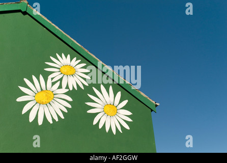 Bianco brillante margherite murale dipinto sul verde gable end parete della terrazza house con un luminoso cielo blu; aberystwyth Wales UK Foto Stock