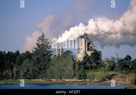 Un gigante di mulino di carta genera una nuvola di vapore nell'aria lungo la costa vicino alla città di Coos Bay Oregon Foto Stock