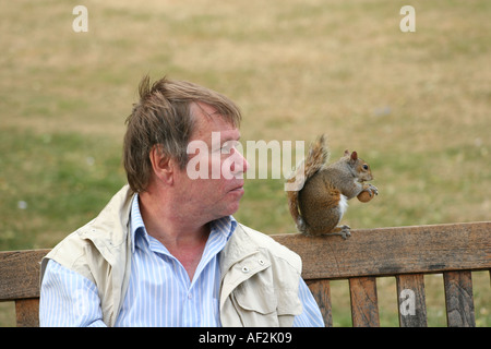 Uomo in St James Park a Londra Foto Stock