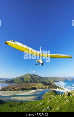 Deltaplano Penisola di Otago vicino a Dunedin Isola del Sud della Nuova Zelanda Foto Stock