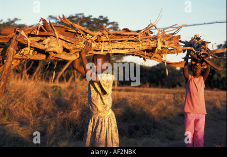 Zimbabwe Parco Nazionale di Hwange un ragazzo e una ragazza che trasportano la legna sulla testa Foto Stock