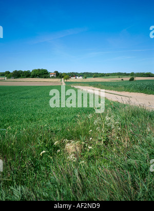 Fattoria, Öland meridionale, Svezia. Foto Stock