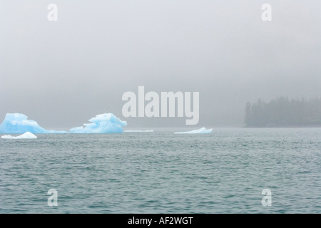 Iceberg galleggiante in Prince William Sound vicino ghiacciaio Columbia centromeridionale in Alaska, STATI UNITI D'AMERICA Foto Stock