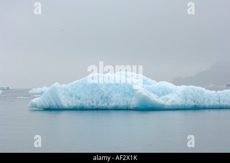 Iceberg galleggiante in Prince William Sound vicino ghiacciaio Columbia centromeridionale in Alaska, STATI UNITI D'AMERICA Foto Stock