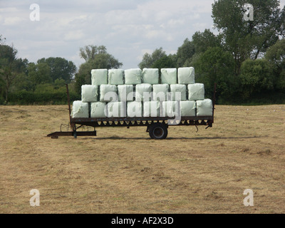 Avvolgere balle di fieno o paglia impilate ordinatamente su un rimorchio in un campo in attesa di essere portati via e memorizzati per un uso successivo. Foto Stock