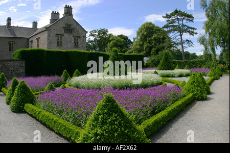 Topiaria da giardini a Levens Hall nel Regno Unito Foto Stock