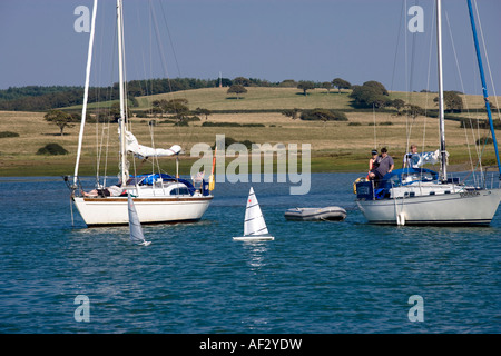 Barche modello navigate intorno a yacht ancorati a Newtown Creek Isola di Wight Hampshire Inghilterra UK Foto Stock