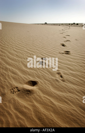 Una mercedes 230e attraversando il deserto del Sahara. Foto Stock