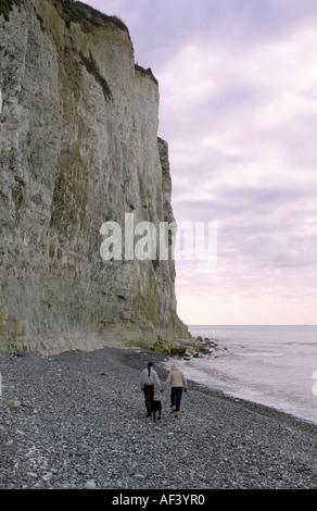 Giovane e cane a camminare Bois de Cise Picardia Francia Foto Stock