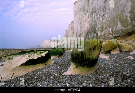 Cote Picarde Bois de Cise Picardia Francia Foto Stock