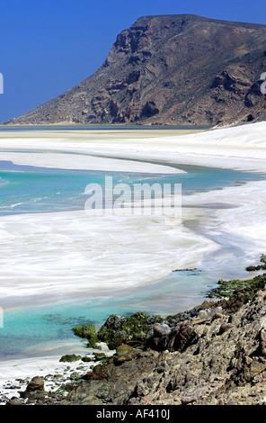 Qalansia beach isola di Socotra Yemen Foto Stock