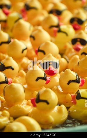 Raccolta della gomma duckies indossando occhiali da sole Foto Stock