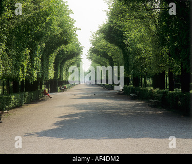 Avenue nel castello di Schönbrunn park Vienna - Austria Foto Stock