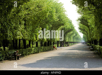 Avenue nel parco dal castello di Schonbrunn - Vienna - Austria Foto Stock