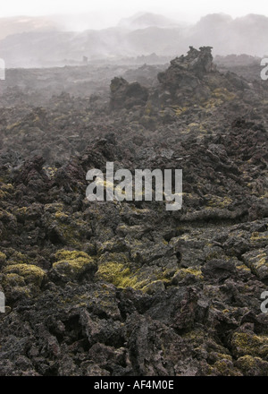 Una fumante campo di lava nella zona Leirhnjukur a Krafla vicino Lago Myvatn nel nord dell'Islanda Foto Stock