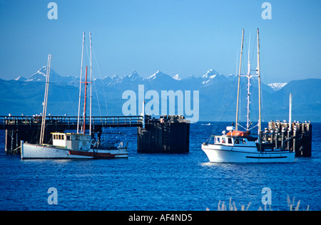 Coperta di neve in alta montagna sulla terraferma visto da Comox sulla costa est dell'isola di Vancouver, British Columbia Canada Foto Stock