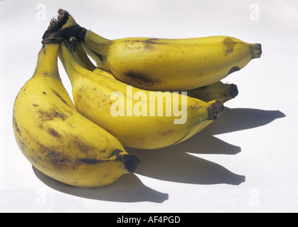 Banana frutto Musa sapientum paradisiache mazzetto Foto Stock