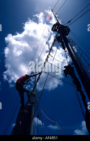 L'uomo arrampicata scaletta di corda fino il montante di replica goletta buccaneer contro sole cielo blu St Lucia Caraibi Foto Stock