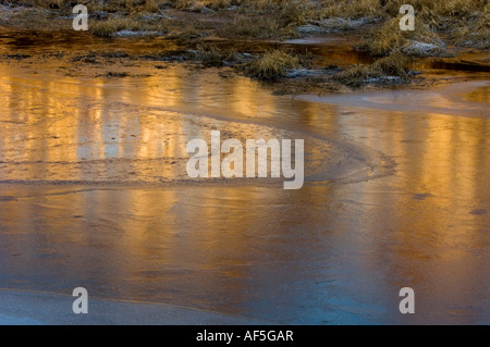 Di betulle si riflette in fresco di ghiaccio su beaver pond, maggiore Sudbury, Ontario, Canada Foto Stock