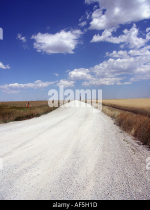 Rurale strada di ghiaia Foto Stock