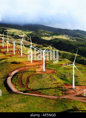 Agriturismo Mulino a vento nelle montagne di West Maui Foto Stock