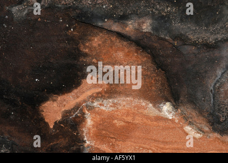 Sinagua Native American pittogrammi di uccello, Palatki Red cliffs, Arizona Foto Stock