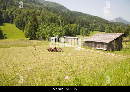 GODZ MARTULJEK SLOVENIA UE Giugno fiore di primavera prati circondano una piccola fattoria il fieno viene appesa ad asciugare Foto Stock