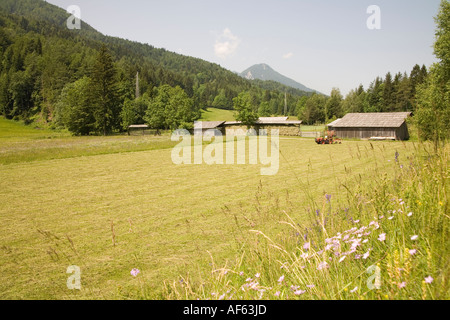 GODZ MARTULJEK SLOVENIA UE Giugno fiore di primavera prati circondano una piccola fattoria il fieno viene appesa ad asciugare Foto Stock