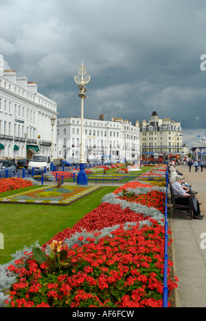 Vista dei giardini di tappeti e hotel sul lungomare con i pensionati seduti lungo la promenade Eastbourne East Sussex Foto Stock