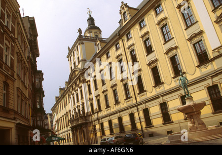 Fontana università esterno edificio dell'Aula Leopoldina stanza a Wroclaw in Polonia Foto Stock