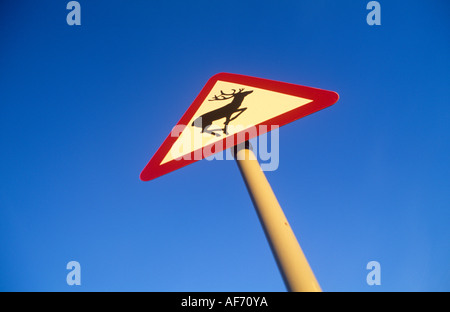 Avviso di cervo cartello stradale. Foto Stock