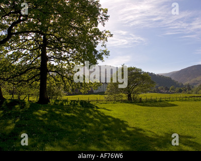 Patterdale serata estiva nel Lake District inglese Foto Stock