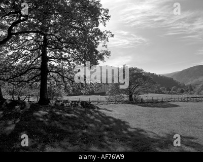 Patterdale serata estiva nel Lake District inglese Foto Stock