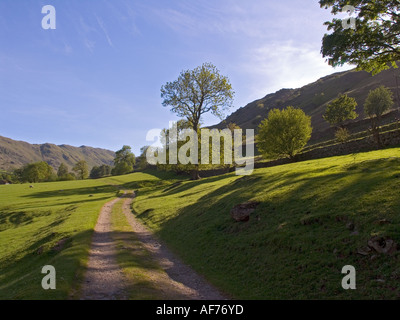 Deepdale vicino a Ullswater nel Lake District inglese Foto Stock