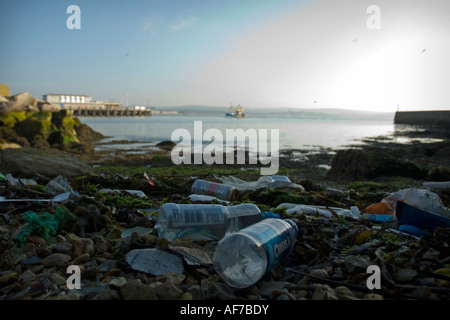 Plastica per bevande bottiglie lattine di birra lager e di altri rifiuti lavato fino ad alta marea Foto Stock