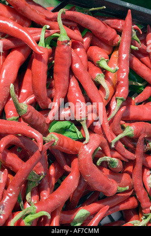 Red Hot Chili Peppers al mercato agricolo Foto Stock